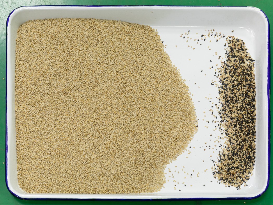 Automatic 128 Channels 2 Chutes Grain Color Sorter For Wheat Barley Rye