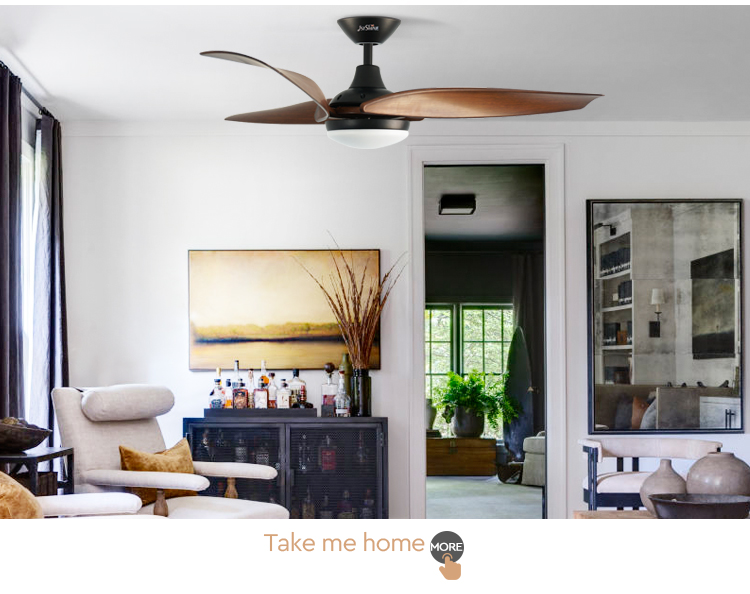 ceiling fan