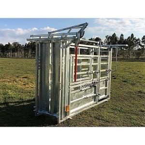 Quality Australia Standard Vet Cattle Crush without Y section wholesale