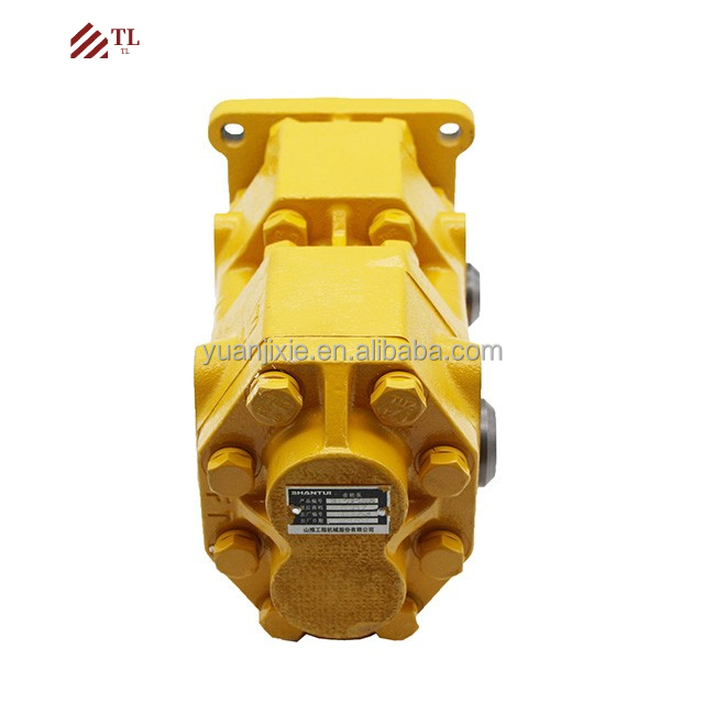 Shantui Bulldozer Spare Part SD16 Double Gear Pump 16T-70-10000 for Crawler Excavator