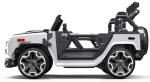 Style Ride On Toy 2022 Design Luxury 24V Electric Car with Black Two-Seater
