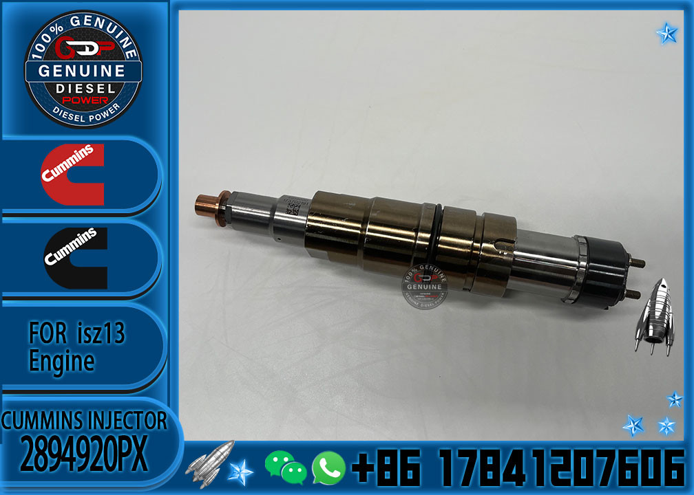 Hot-selling new Diesel common rail Fuel Injector 2894920PX 2894920