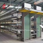 Modular Poultry Cage System For Layer Farms Hot Dip Galvanized Battery Cage