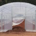 Double Arches Double Film Agricultural Growing 10X50m Single Span Greenhouse