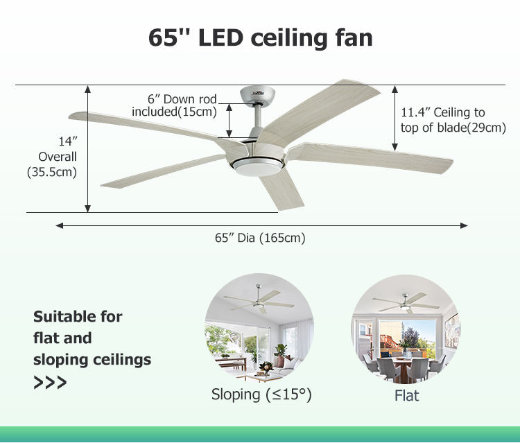 Big Room 65 Inches 5 Blades LED Ceiling Fan with Remote Control and 110-240V/50Hz-60Hz