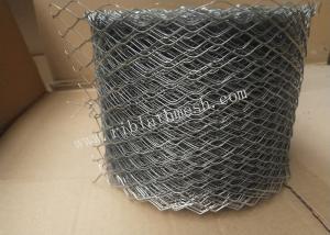 Quality 480/M2 Weight 20cm Width 18m Length Brick Wall Mesh wholesale