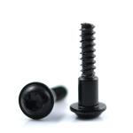 Customized Stainless Steel Truss Head Black Dacromet Pan Torx Step Shoulder