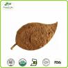 Buy cheap Pure Natural Japanese Butterbur Extract Powder 10 : 1 from wholesalers