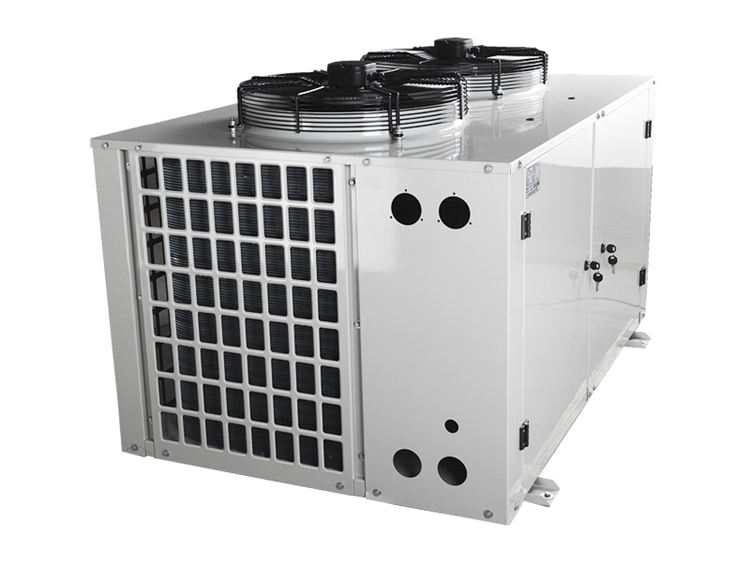 R507 Refrigerant Cold Storage Refrigeration System Unit ODM