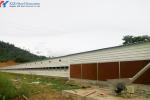 Fully Automatic Poultry Farm Equipment , Galvanized Poultry Farm Layer Cage