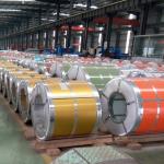 PPGI Color Coated Dx51d Prepainted Steel Coils 0.25-1.0mm Hot Rolled