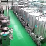 20TPD Sea Buckthorn Processing Fruit Juice Production Line