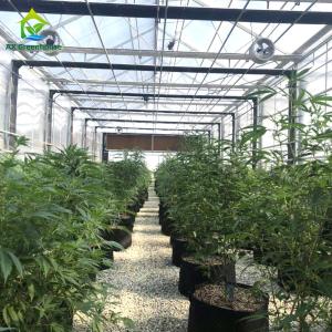 Quality Hot Galvanized Steel Commercial Light Deprivation Greenhouse for Hemp Cultivation wholesale