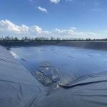 Tenglu 0.1mm 3mm Black / Green / White / Blue HDPE Geomembrane Pond Liner for
