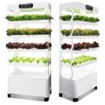 Veggiefloe Hydroponic System – Fresh, Healthy, and Sustainable Home-Grown