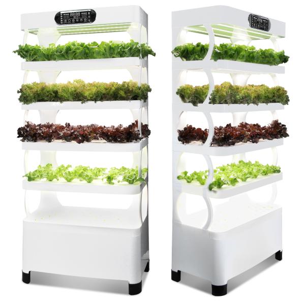 Veggiefloe Hydroponic System – Fresh, Healthy, and Sustainable Home-Grown