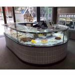 220V Secop Compressor Custom Commercial Refrigerator