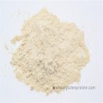 Prolong Bread Aging Time CAS 8002-80-0 Vital Wheat Gluten