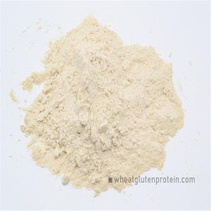 Quality Prolong Bread Aging Time CAS 8002-80-0 Vital Wheat Gluten wholesale