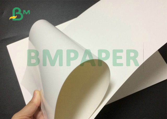 210 250 270 300 Grammes White C1S Coated Board Sheet For Large Format Printing 