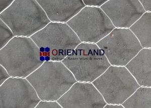 Quality Double Twisted Hexagonal Shape Gabion Wall Baskets 100×120mm wholesale