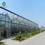 Galvanized Multi Span 120km/H Commercial Glass Greenhouse