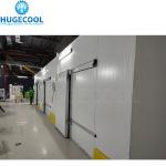 Expansion Valve 40FT Container Cold Storage Room for Fruits and Vegetables