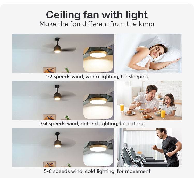 Indoor 42" Suspender Length LED Ceiling Fan with High Airflow and Adjustable Lighting