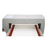 Auto Conveying Conveyor Belt Metal Detector High Sensitivity For Food / Biscuit