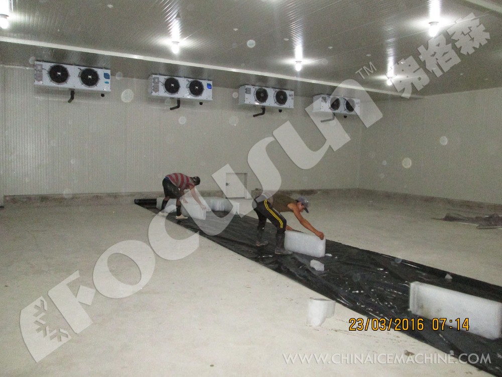 Bitzer Compressor Container Block Ice Machine for Ice Block Production Efficiency