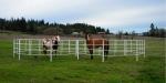 Back Yard Garden Animal Husbandry Iron Temporary Corral Fencing