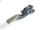 Car Brake Pedal SKD61 Hasco Base Precision Injection Mould