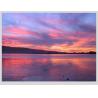 Buy cheap Full Viewing Angle 20 Pin 15 Inch LCD Display 1024x768 Lvds from wholesalers