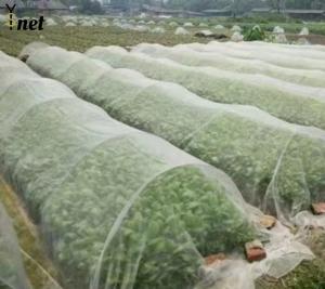 Quality Insect Proof Nylon Garden Netting Customized Bird Netting For Vegetable Garden wholesale