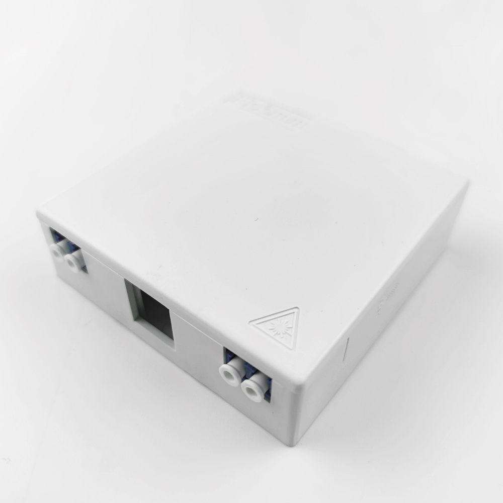 Wired LAN 2 Cores Plastic Fiber Optic Faceplate Socket Panel for Indoor FTTH Network