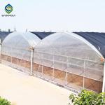 Commercial 200 Micron Film 0.50KN/M2 Multi Span Greenhouse