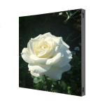 P3.9 Outdoor Fixed LED Display SMD1921 6000nits 1000x1000mm Aluminum Profile