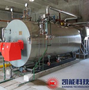 Quality Gas Fired High Efficiency Steam Boiler Ripple Taper Furnace Combined wholesale