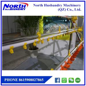 Quality Closed House System untuk Efesiensi Produksi Peternakan Ayam wholesale