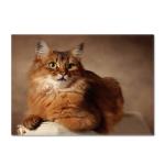 Animal New Cartoon Large Carpet Source Wholesale Feather ins Style Bedroom Floor