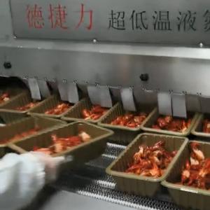 Quality 22kw Mesh Belt Tunnel Freezer 2800kg/H Iqf Blast Freezert Freezer OEM wholesale