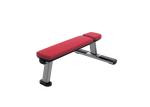 Professional Commercial Gym Rack And Bench , Weight Lifting Dumbbell Flat Bench