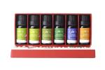 10ml Pure Aromatherapy Gift Set Cinnamon Essential Oil 100% Pure