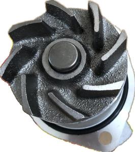 Quality 021121004 Engine Parts Water Pump wholesale