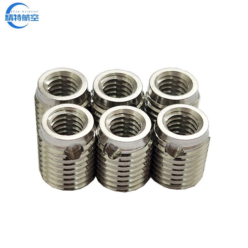 Stainless Steel SS304 Brass Insert with Circular Hole Self-Tapping Insert Nut M12