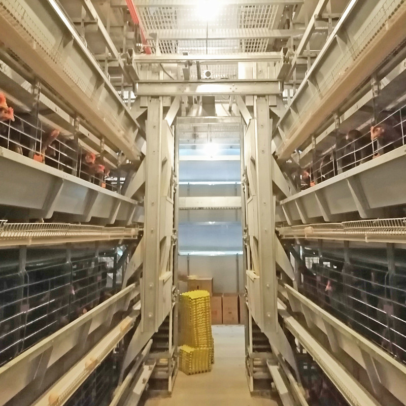 Layer Chicken Feeding System Galvanized 3-10 Tiers H Type Layer Cage