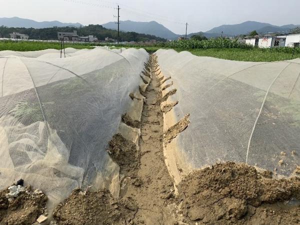 120Gsm Spunbond Mulching Sheet For Agriculture