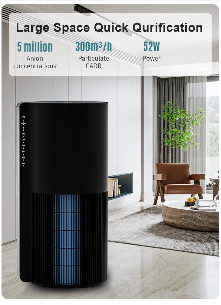 HEPA 12 5 Million Anion Room Air Purifier Remote Control EMC
