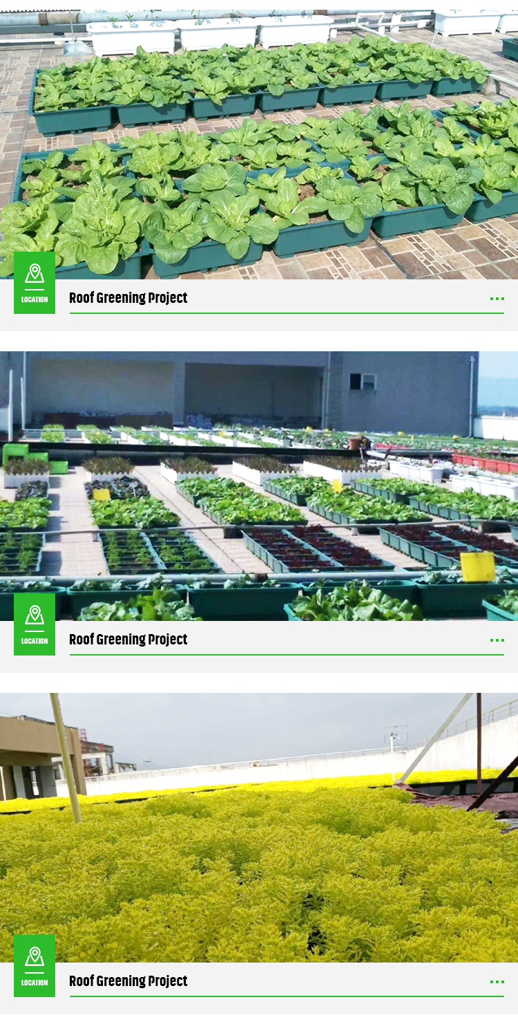 Garden Usage Plastic Square Plant Containers Rooftop Planter Garden Seed Propagation Tray