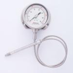 Flexible Stem Melt Pressure Gauge , Steam High Temp Pressure Gauge